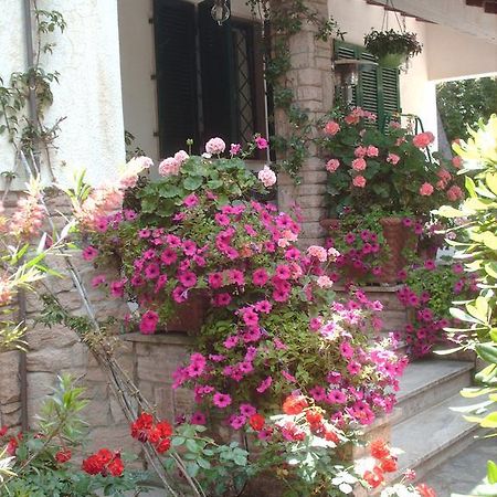 La Zattera Camere San Vincenzo Ngoại thất bức ảnh